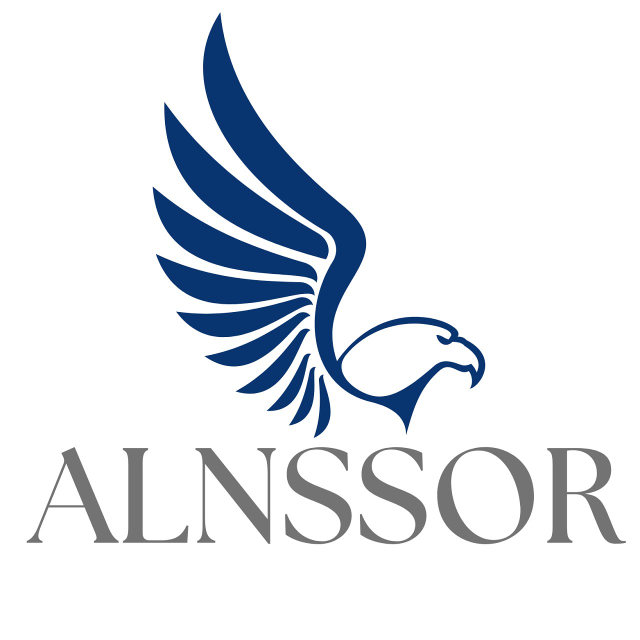 Alnssor Enterprise